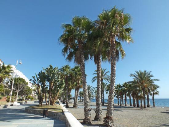 Apartamento Estudio En Chinasol Primera Linea Playa San Cristobal 阿尔姆尼卡 外观 照片